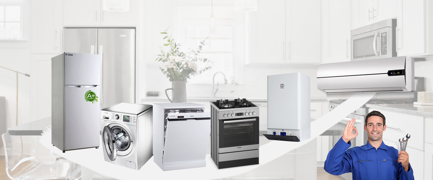 Seyitgazi Daikin Servisi